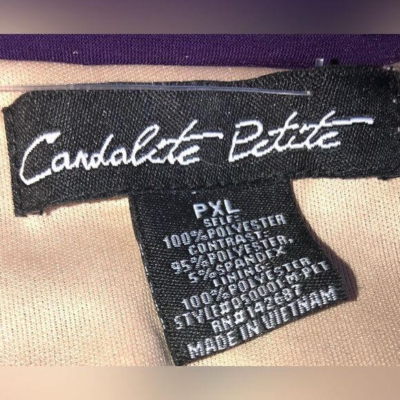 CARDLETTE PETITE Purple Lace Nude Lining Maxi Dress Petite XL - Picture 5 of 5